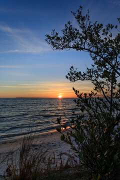 Bunche Beach Sunset