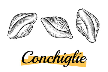 Conchiglie pasta outline icon. Retro style, engraving style. Hand drawing, ink, line art. Isolated on white background. Traditional Italian cuisine. Illustration. 