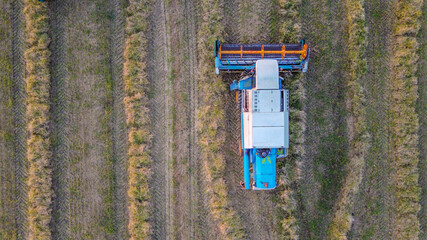 White and blue harvester in top view while harvesting crops at an agricultural field with copy space