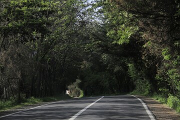 Obraz premium estrada