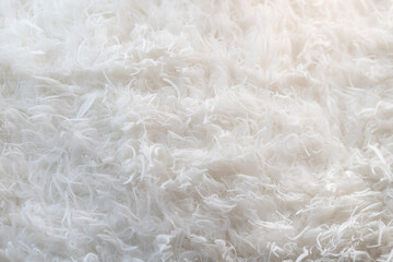 White fur as background or texture crumpled