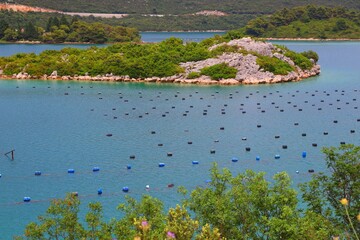 Obraz na płótnie Canvas Shellfish farm in Croatia