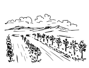 Hand-drawn simple ink vector drawing. Landscape, garden fruit trees, growing plants. Vineyard, rows of bushes, mountains on the horizon, clouds. Nature, farming, agriculture. Organic products.