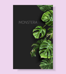 Vector monstera border with green tropical leaves