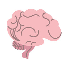 brain human organ isolated icon
