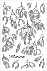 Hand drawn mistletoe set. Vector Romantic Christmas plant background. Illustration for greeting cards design, invitations, print. Sketch black and white style