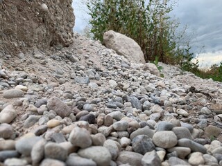 Kieselsteine und Busch