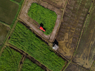 farmer working in rice plantation using tiller tractor. aerial view.