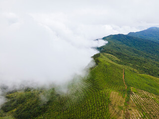 Mountain landscape of Doi Suan Ya Luang, Nan province, Thailand
