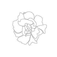 Beautiful line art rose flower. One line floral illustration for print or tattoo design. - Vector