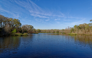 Elm Lake at the Brazos Bend State Park in Texas, on a sunny day in March.