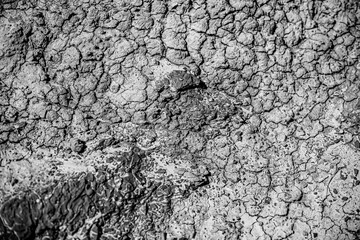 Geological formations and landscapes in the Alberta Badlands