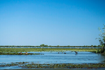 The Danube Delta, the second largest river delta in Europe. Romania.