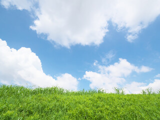 Fototapeta na wymiar 草原と青空に浮かぶ雲