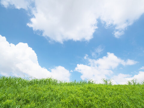 草原と青空に浮かぶ雲