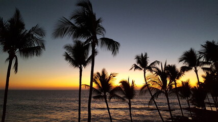 Fototapeta na wymiar Ocean and palm trees at dusk in a tropical paradise