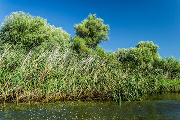 The Danube Delta, the second largest river delta in Europe. Romania.