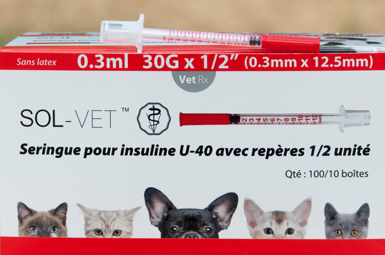 Boîte de seringues pour insuline pour un chat de la marque SOL-VET, France  en 2020 Photos | Adobe Stock