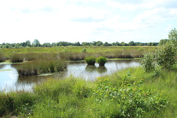 the landscape on the 