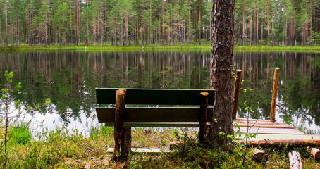 A place to relax on the shore of a lake in a pine forest