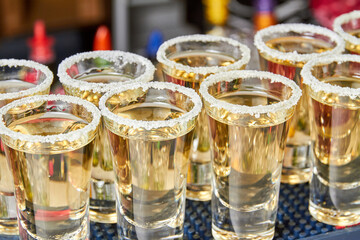 Golden tequila in salt frosted shot glasses on the bar. Close-up, selective focus