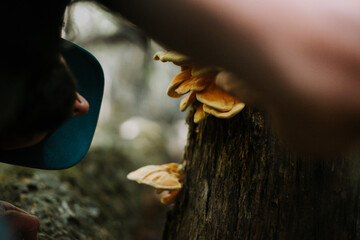 man with mushroom in forest
