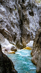 Clear water streams through gorge