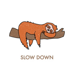 Cute sleeping sloth on the tree branch vector illustration. © Olga