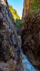 Clear water streams through gorge