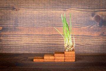 Green grass on a wooden step. Economic growth, development and careers concept