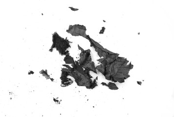 Obraz premium Ash isolated on white background.