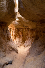 canyon in the desert