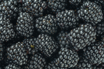 Food background. Close-up of blackberries. Macro shot.