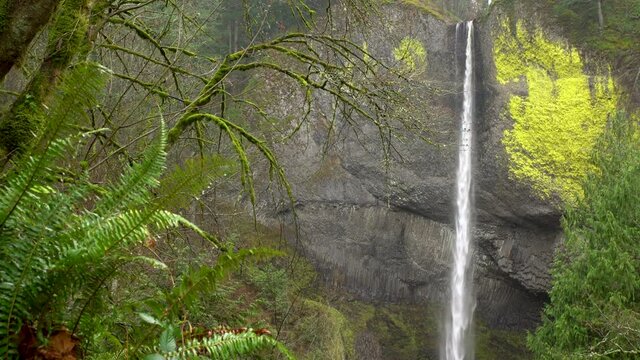 Tracking shot of Latourell Falls in Columbia River Gorge in Oregon