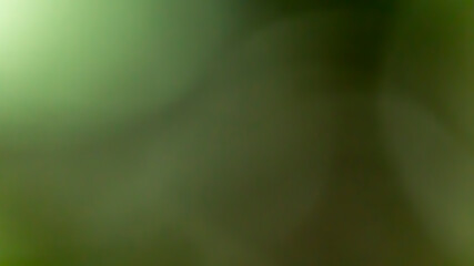 Colorful bokeh background, blur abstract textures. Concept for your graphic design, banner or poster.