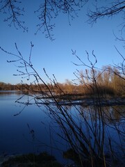 Gałęzie nad wodą © Zuzanna