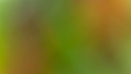 Colorful bokeh background, blur abstract textures. Concept for your graphic design, banner or poster.