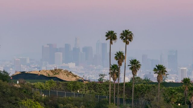 Timelapse day to night transition of downtown Los Angeles skyline thru palm trees