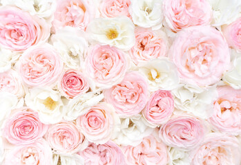Wedding background from roses flowers. Delicate design template for creating invitations, cards, social media posts.