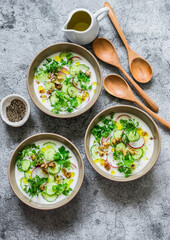 Greek yogurt cold soup with cucumber, radish, cilantro and nut on a grey background, top view. Flat lay