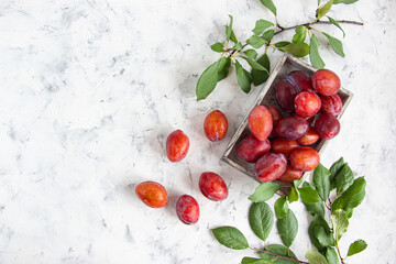 Ripe plum in an old wooden box and branches with leaves on a light background. Simple layout, top view.