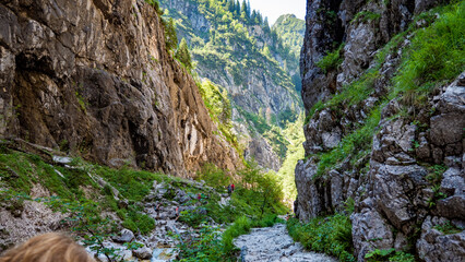 Clear water streams through gorge