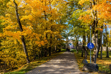 Fototapeta na wymiar A lane in the Fall foliage in Sigulda, Latvia