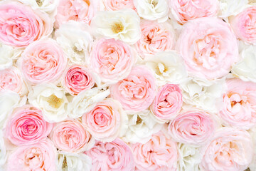 Delicate floral background of pink and white roses. Wedding background for cards and invitations. Design template for special events and celebrations.