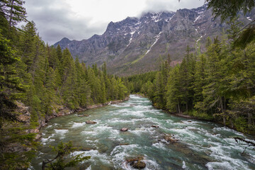 Obraz premium McDonald Creek and mountain background 