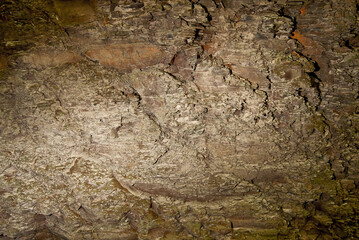 Stone texture close up. Rock with cracks and dirt. Lots of small stones and cracks in the rock.