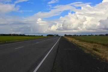 Naklejka premium Summer landscape with sown rye fields along the road