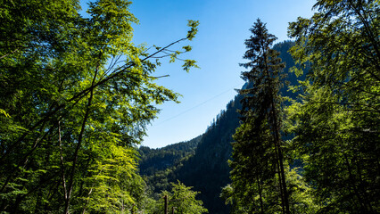 Fototapeta premium The impressive gorge of the Höllental