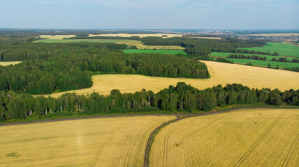 color photography of fields and meadows from the top view
