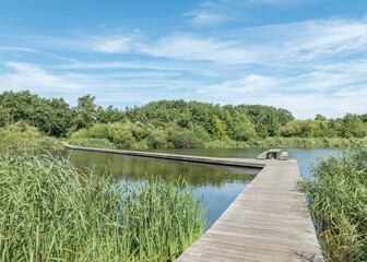 Fototapeta na wymiar wooden walkway over a lake, in a Dutch nature park 